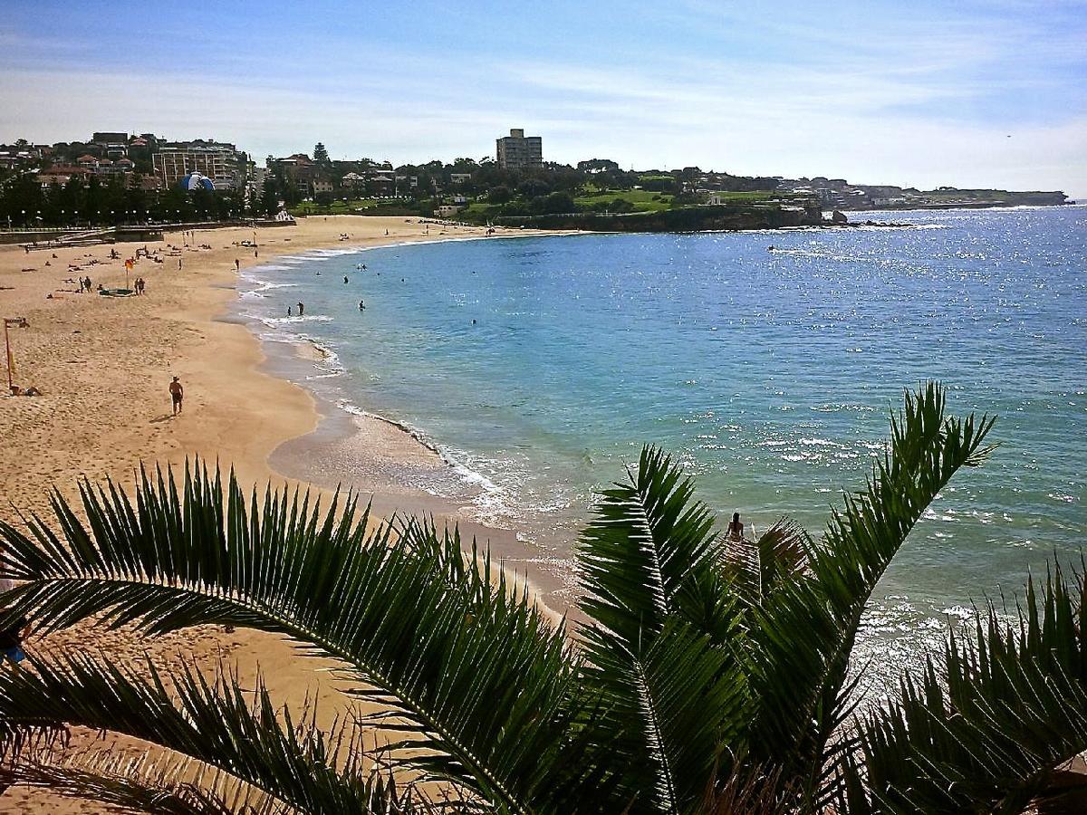 Kookaburra House Coogee Apartment